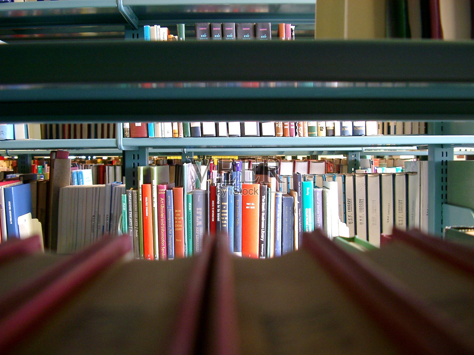 书二世照片摄影图片