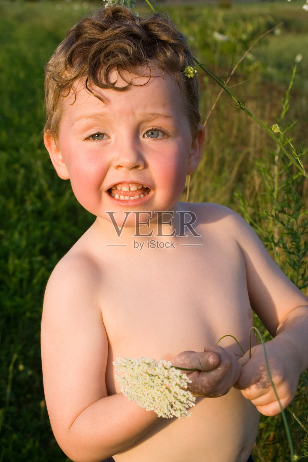 在热天给妈妈摘花照片摄影图片