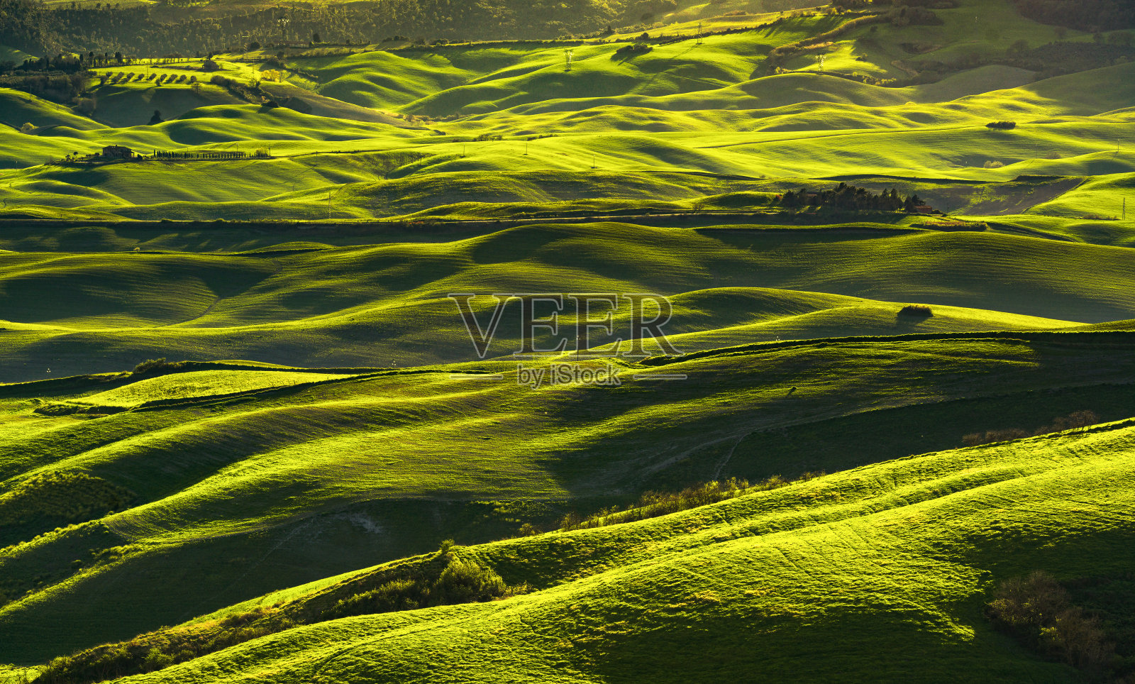 沃尔泰拉全景，起伏的山丘，田野和草地在日落。意大利托斯卡纳照片摄影图片