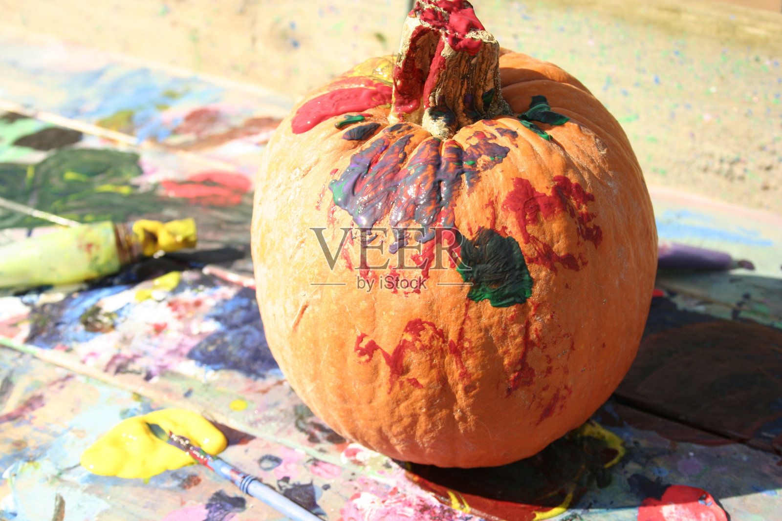 画南瓜照片摄影图片