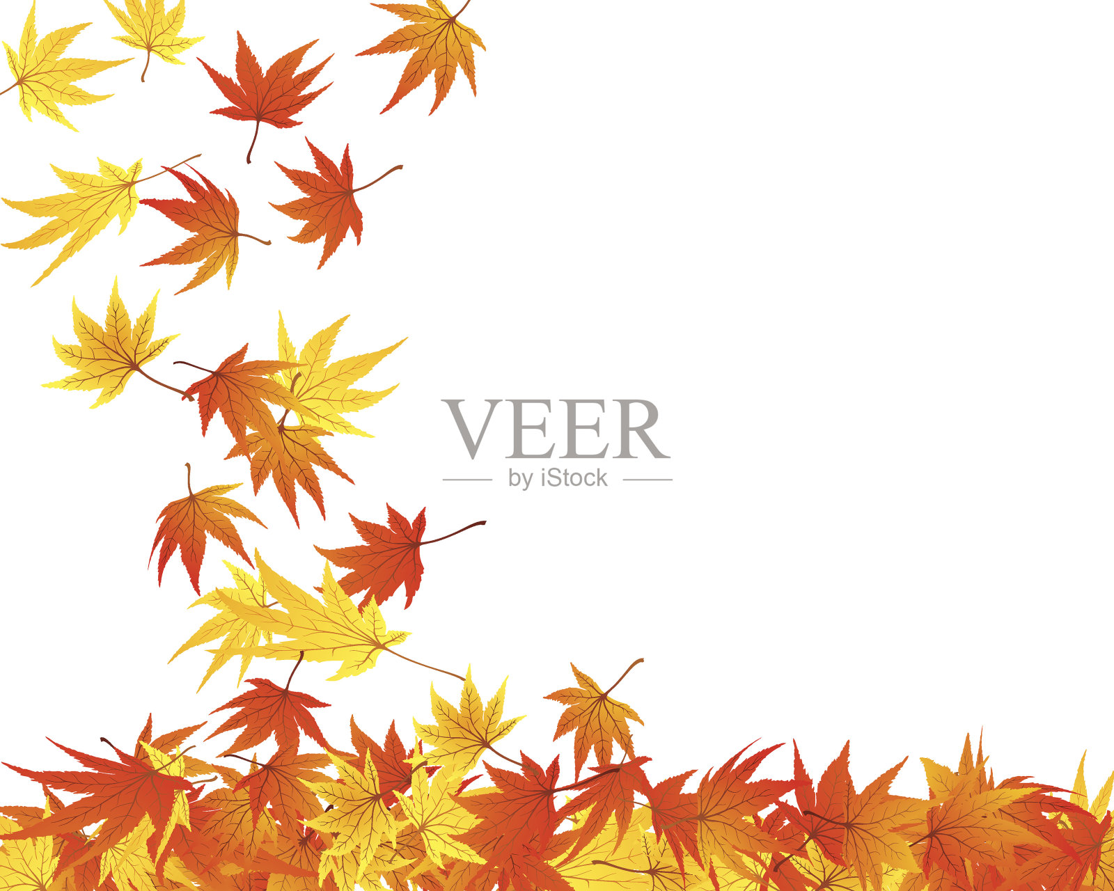 枫封面插画图片素材