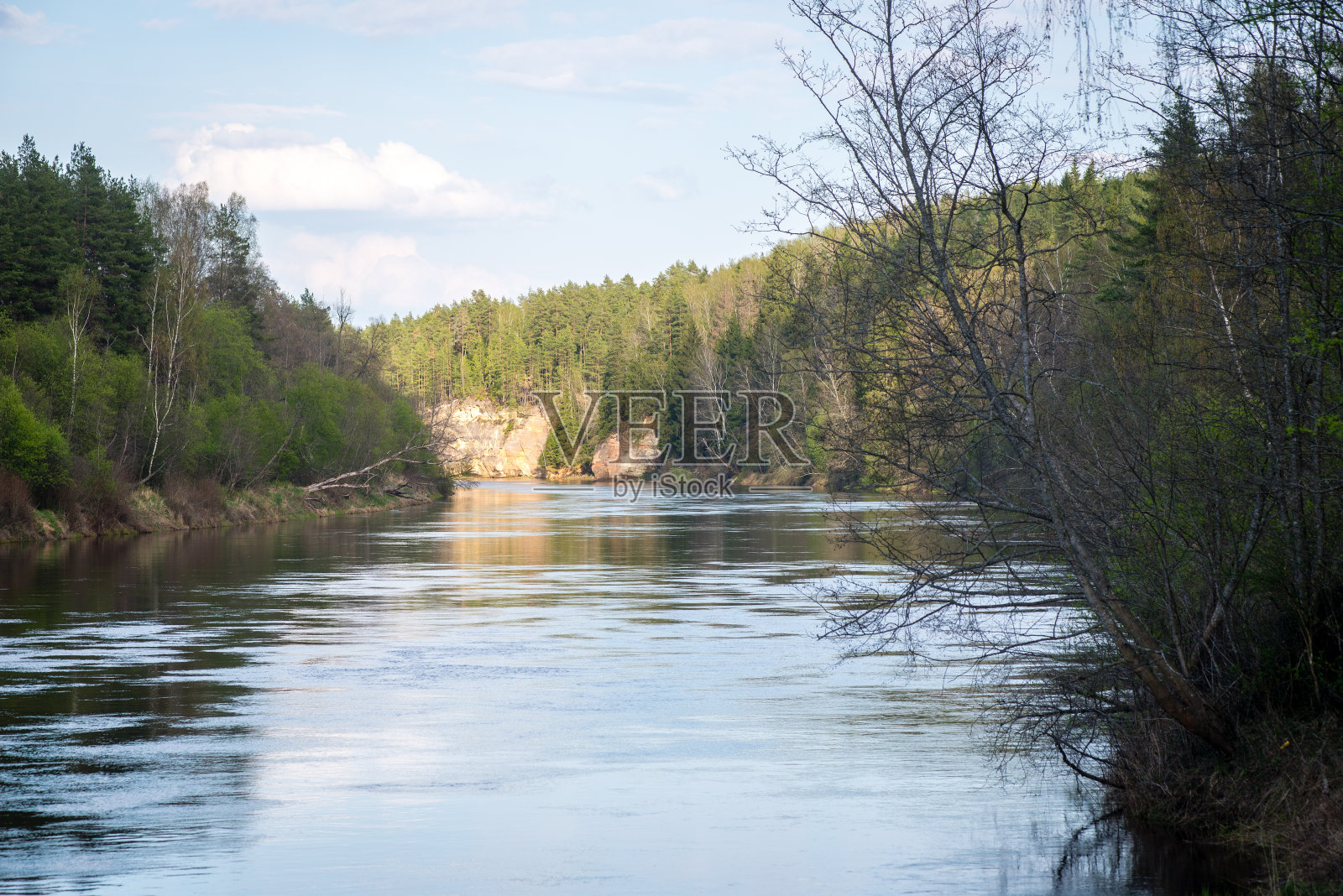 森林里美丽的河流照片摄影图片