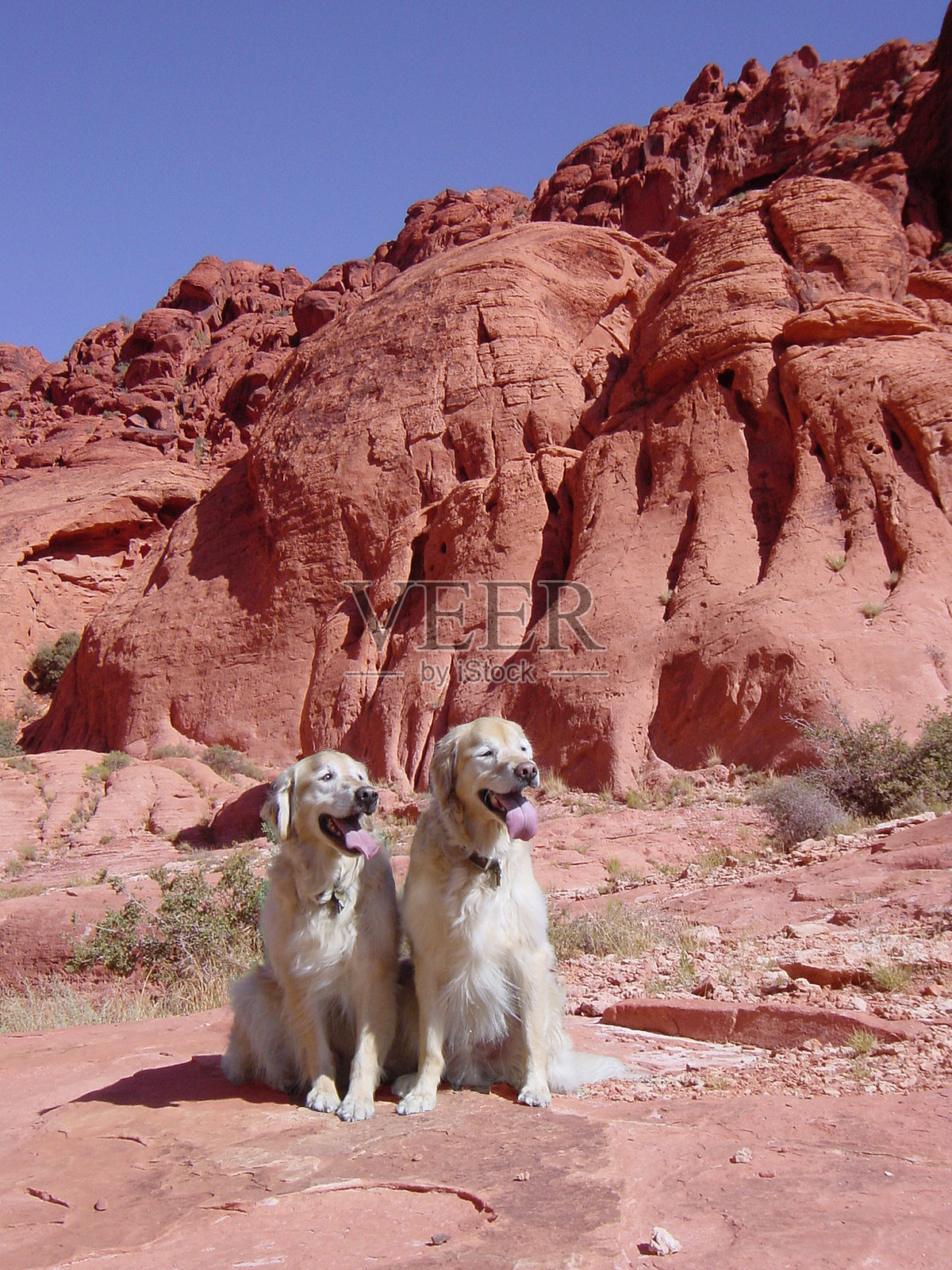 在卡利科峡谷有两个金家照片摄影图片