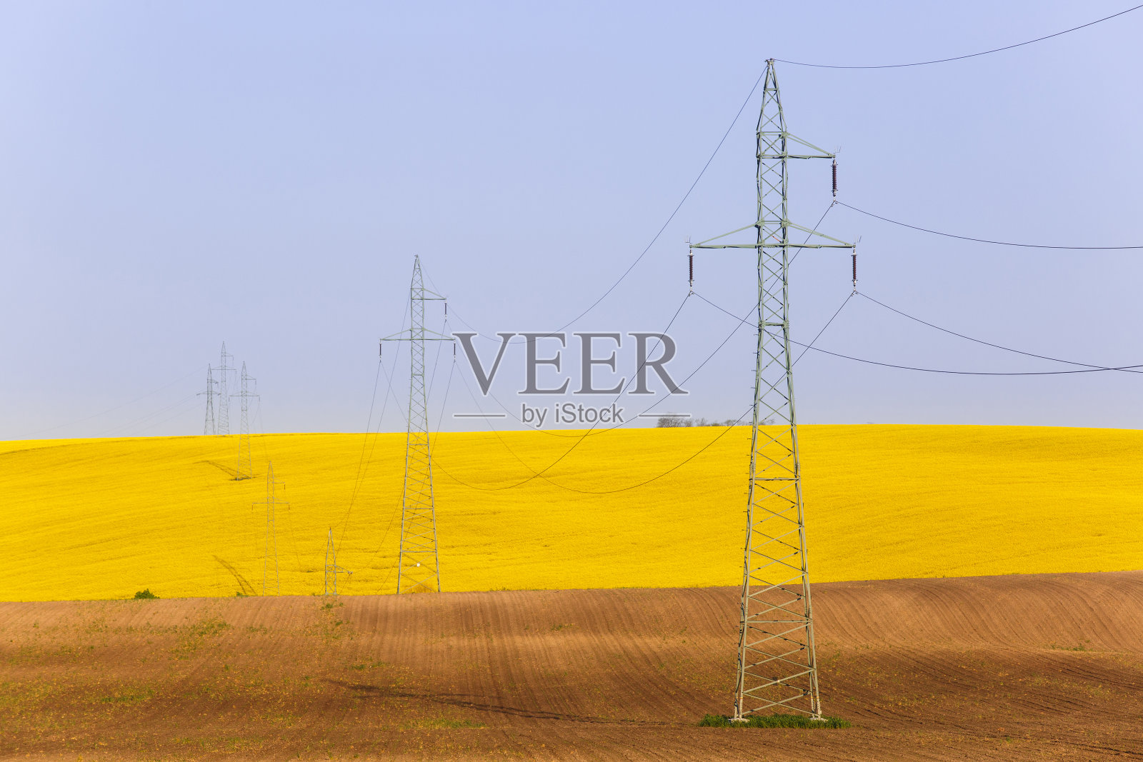 彩色油菜籽田上的电力线照片摄影图片