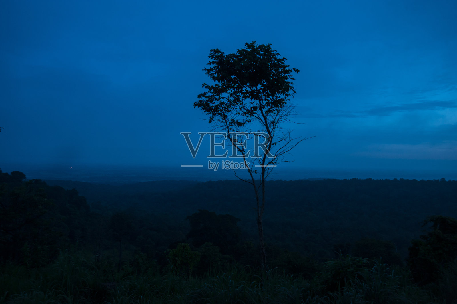 日出前的孤独树照片摄影图片
