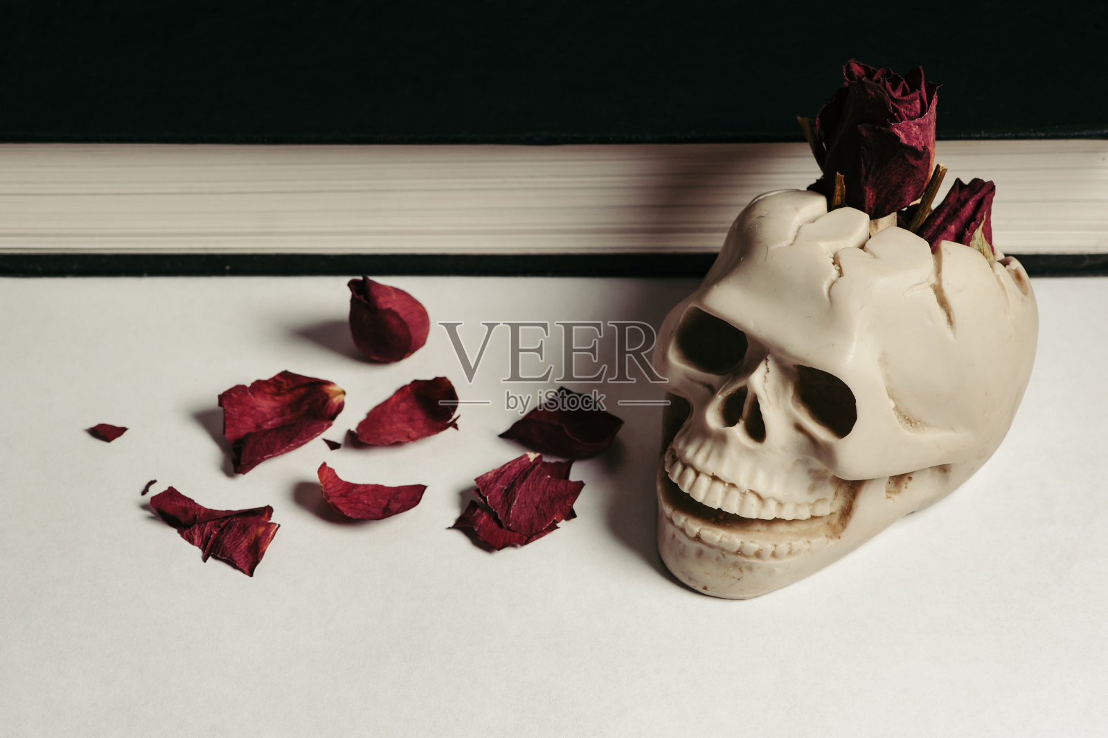 复古木炭。照片摄影图片