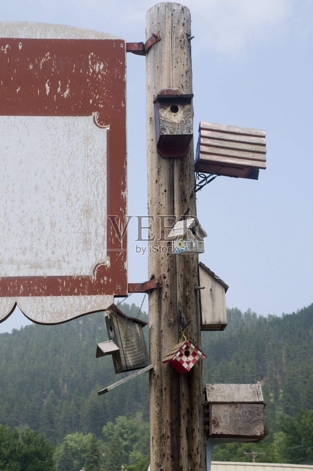 鸟屋照片摄影图片