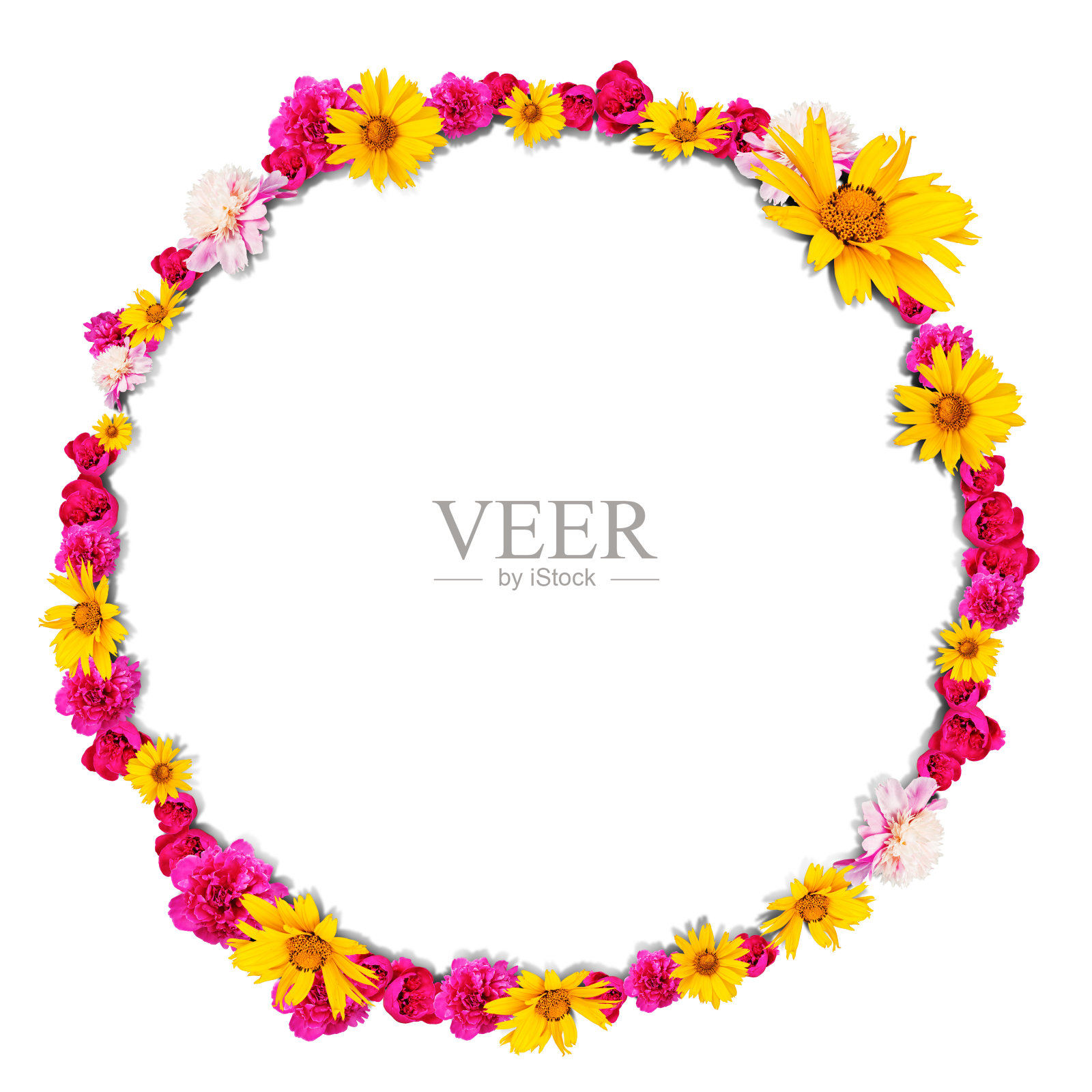 圆形的花照片摄影图片