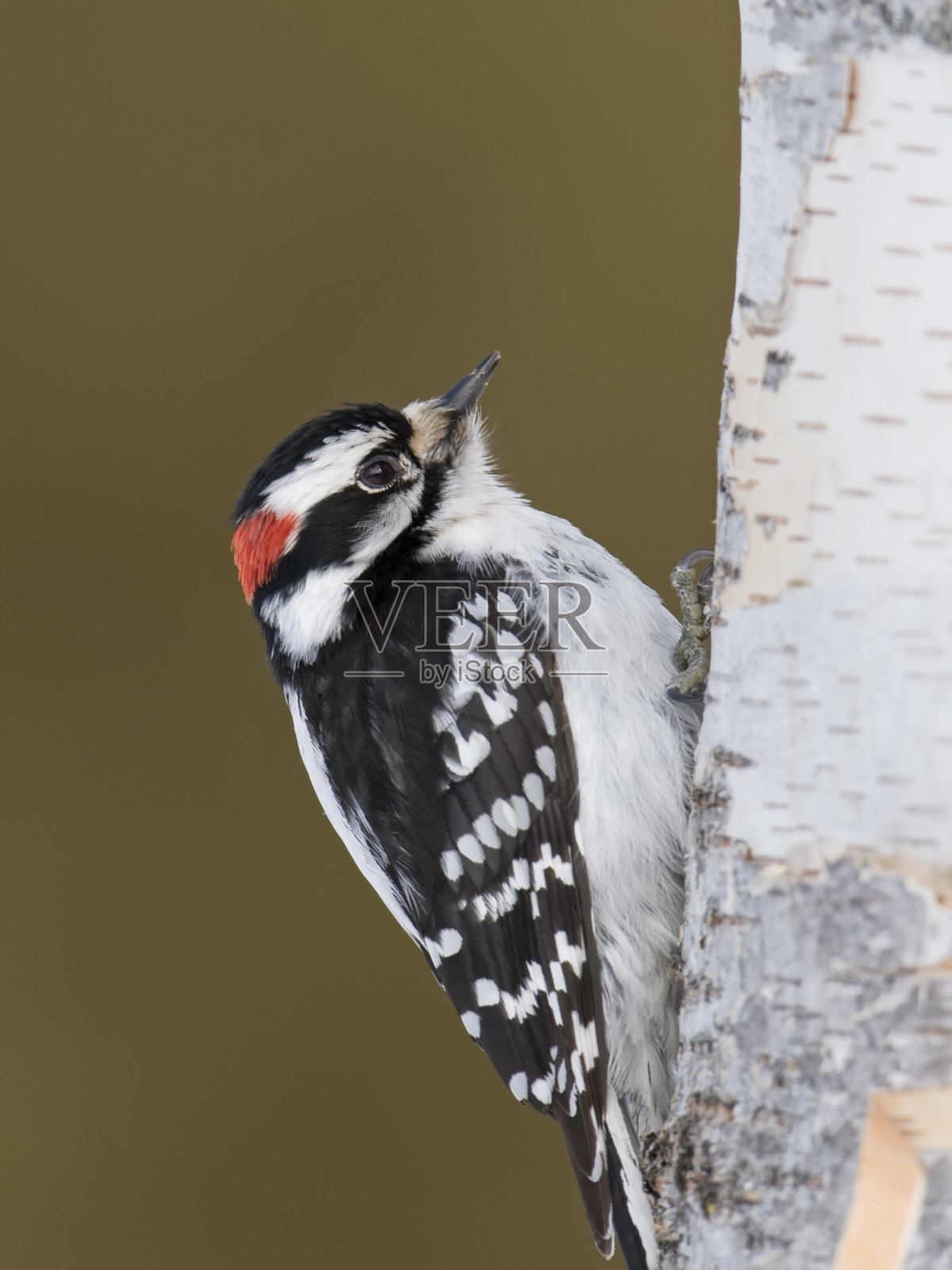 向上及以后照片摄影图片