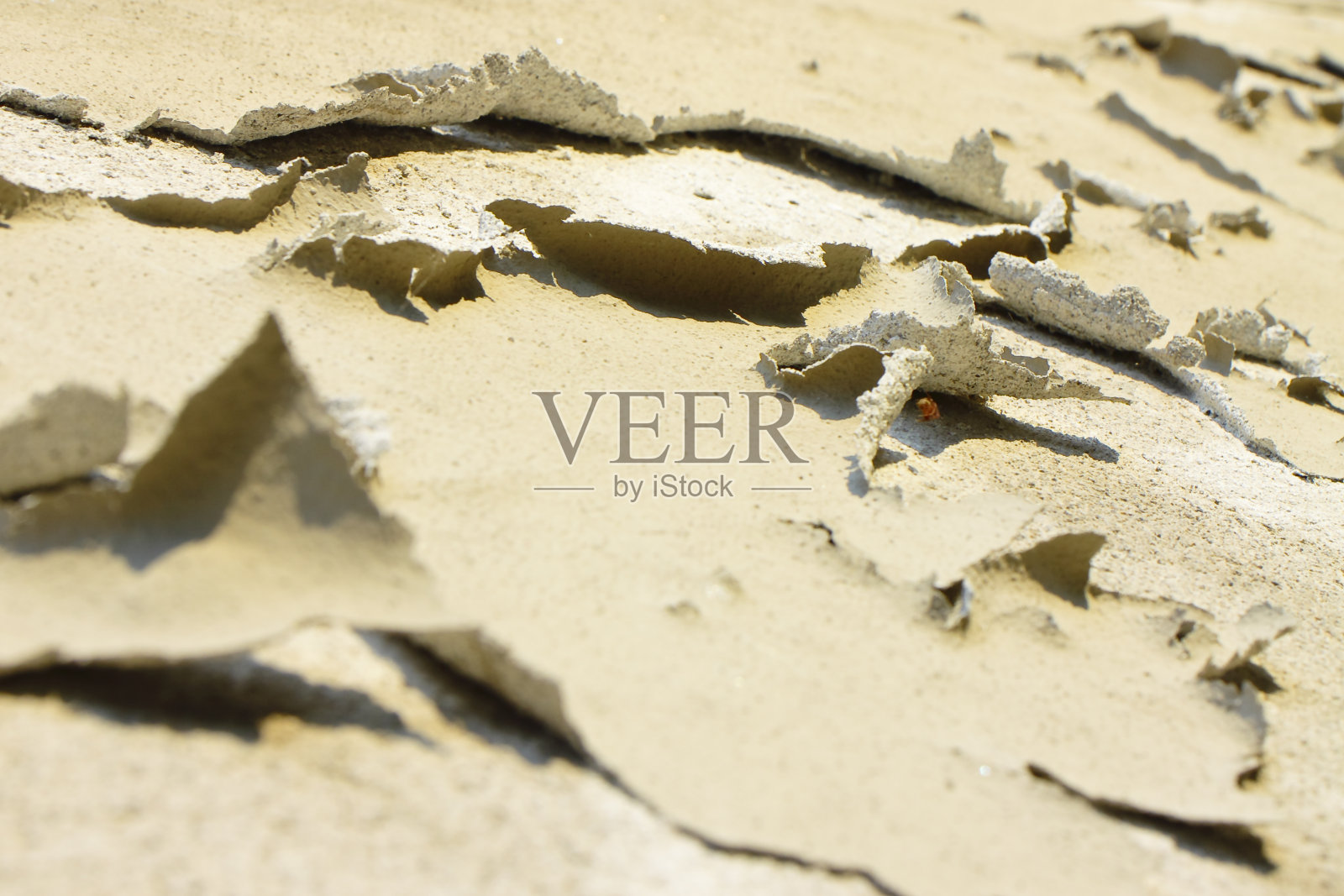 由于潮湿，已降解的石膏卷起来照片摄影图片