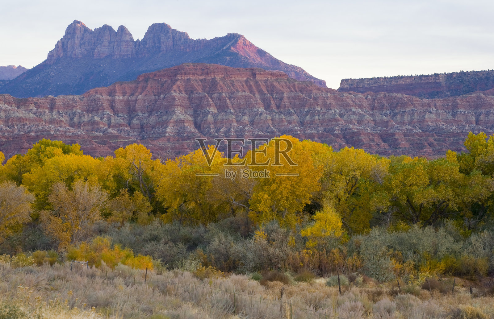 锡安国家公园照片摄影图片