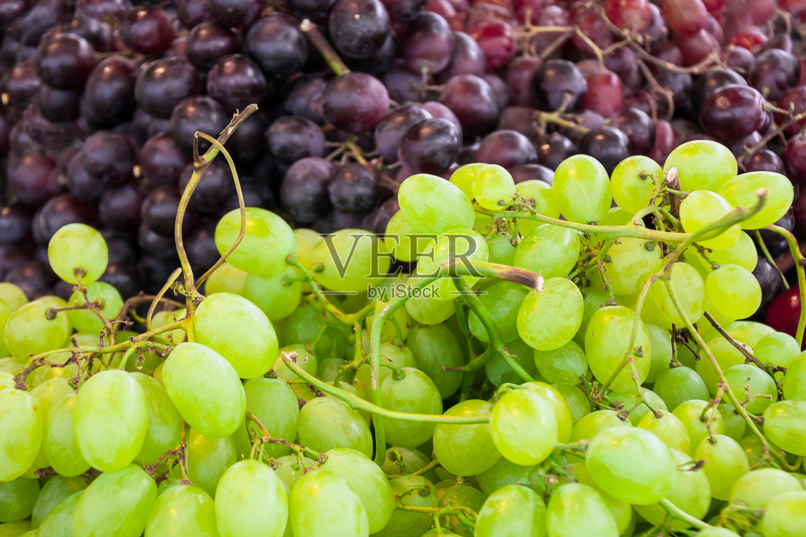 颜色的葡萄照片摄影图片
