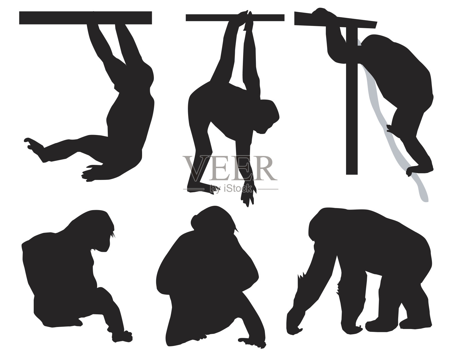 黑猩猩插画图片素材