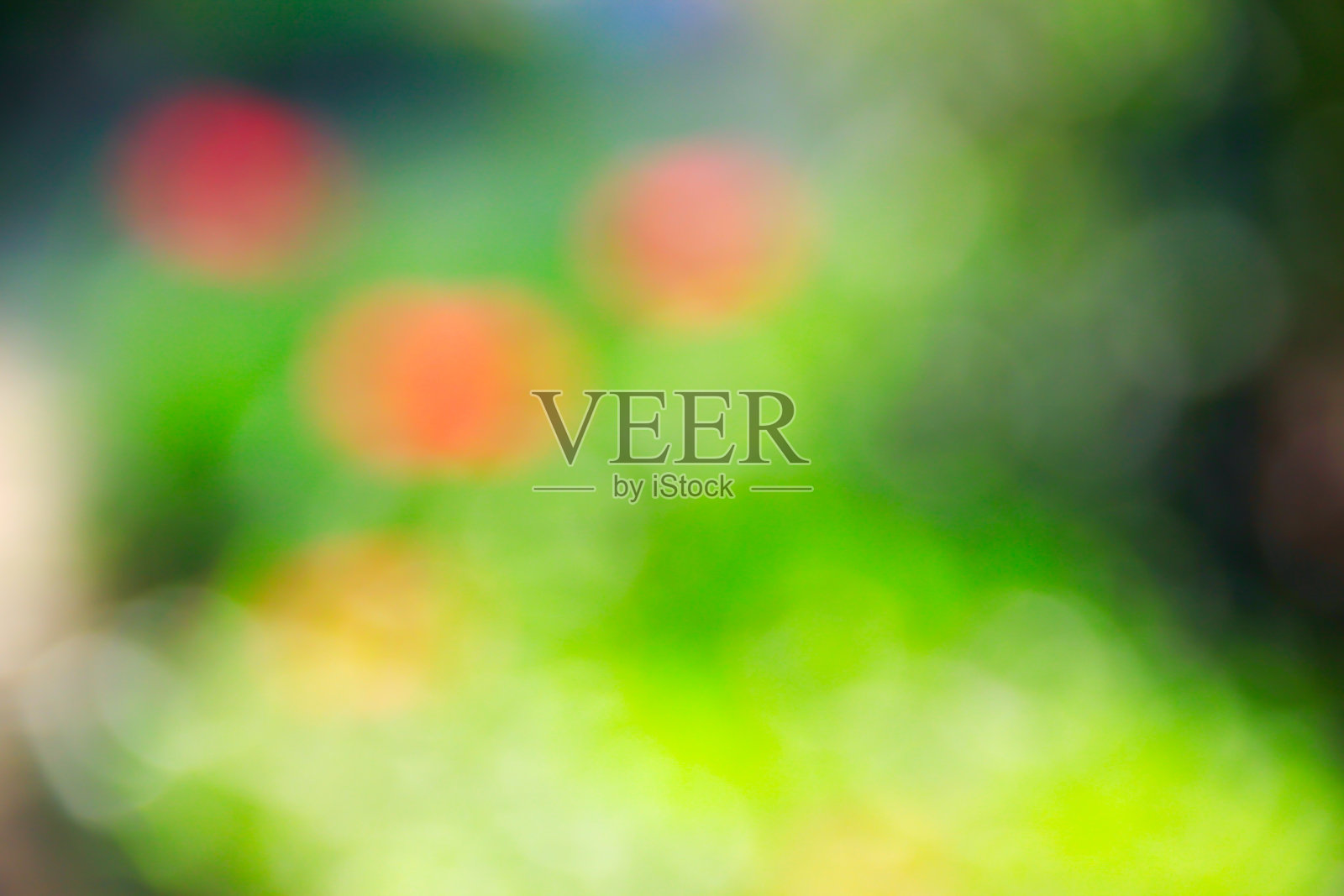 模糊的抽象色彩的花照片摄影图片