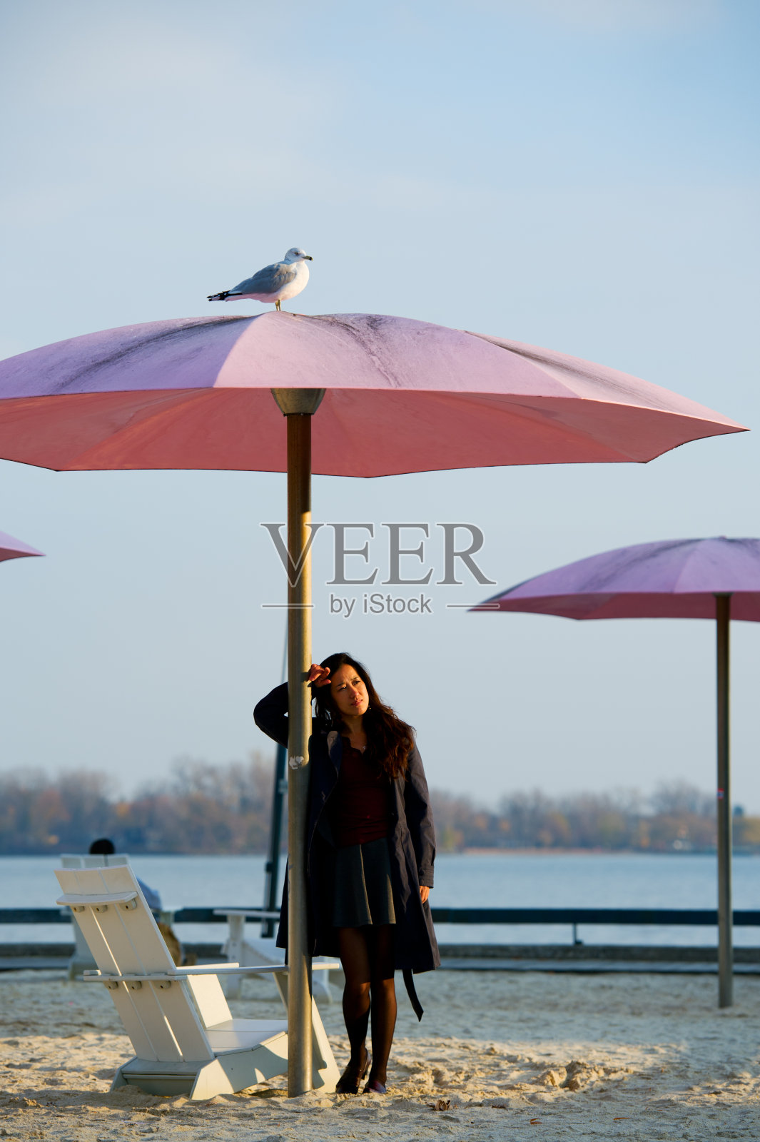 海滩上的女商人照片摄影图片