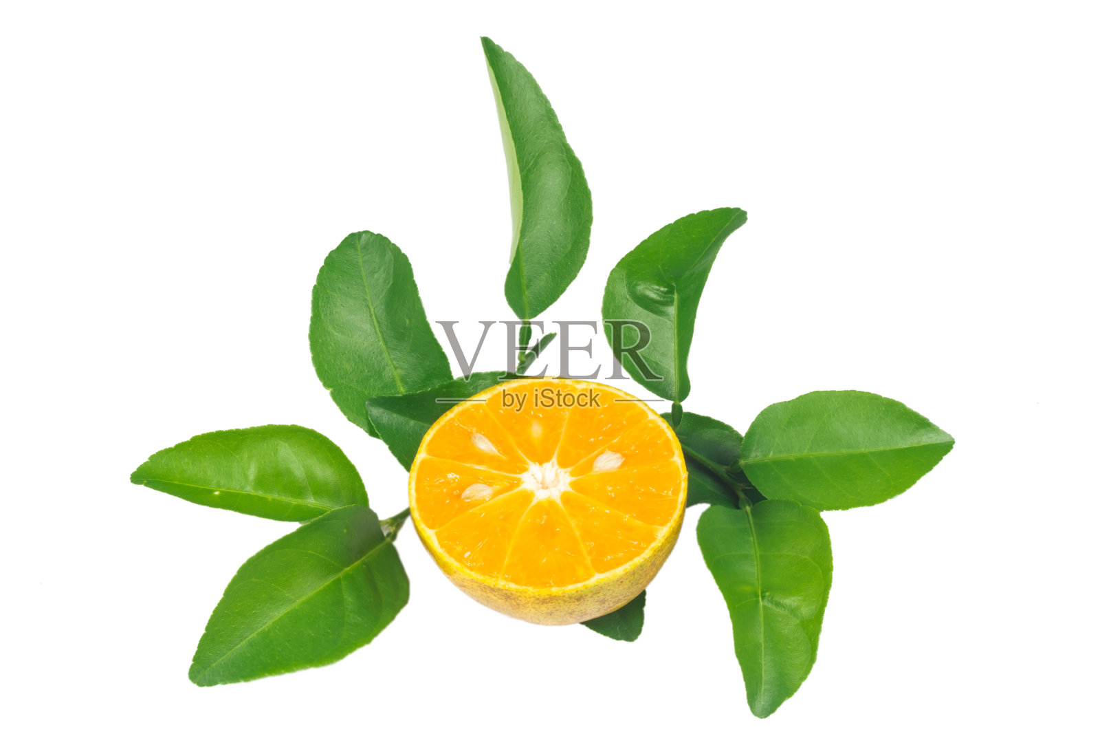 片橙色照片摄影图片