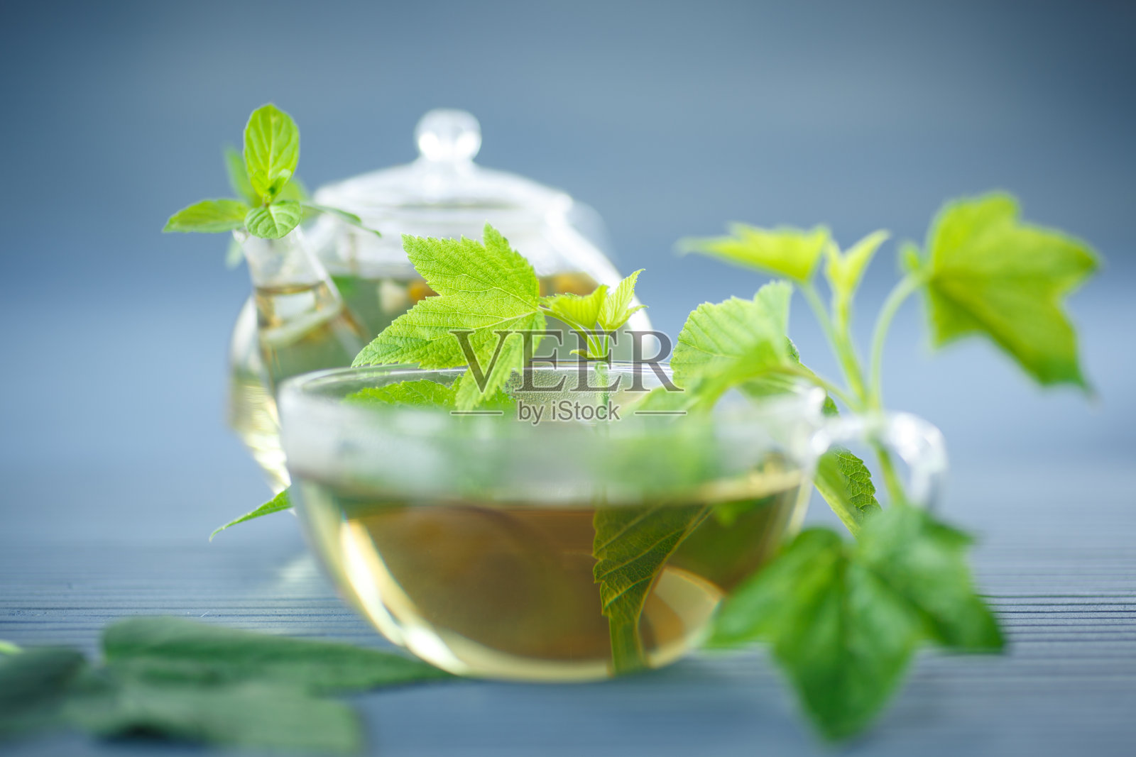 茶加醋栗叶照片摄影图片