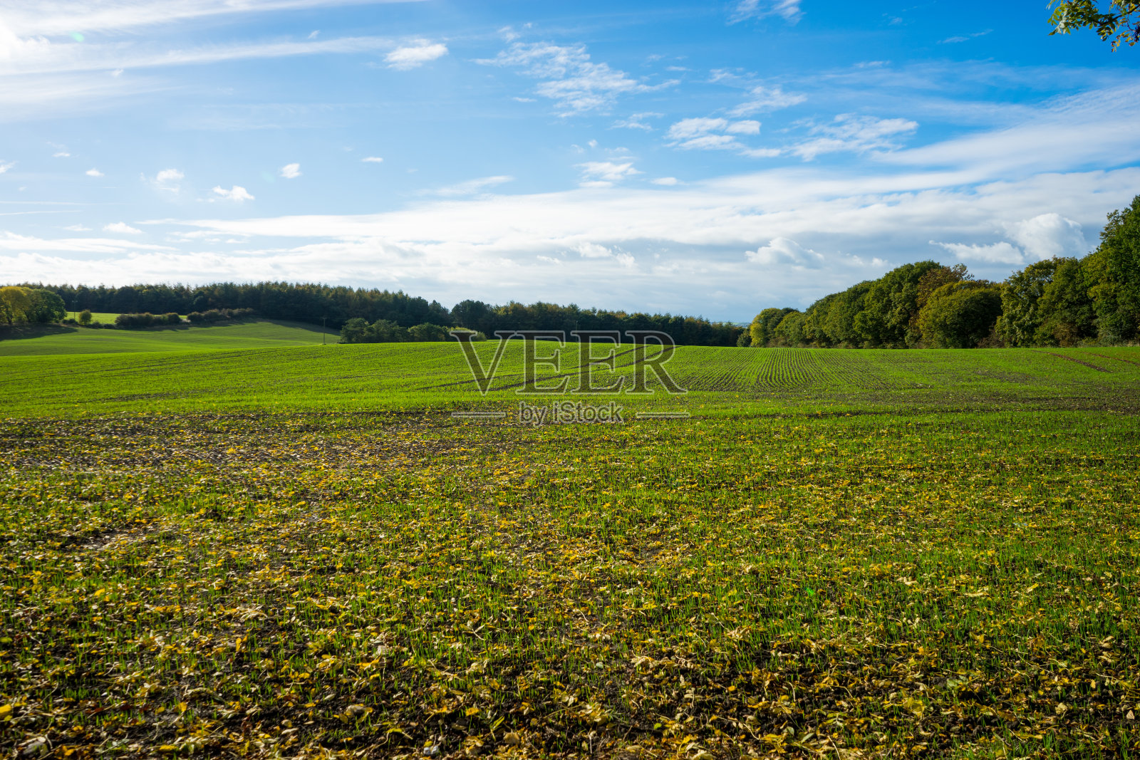 农田-农场照片摄影图片