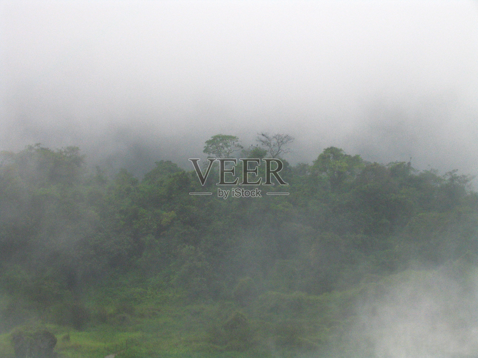 森林Iguaçu瀑布照片摄影图片