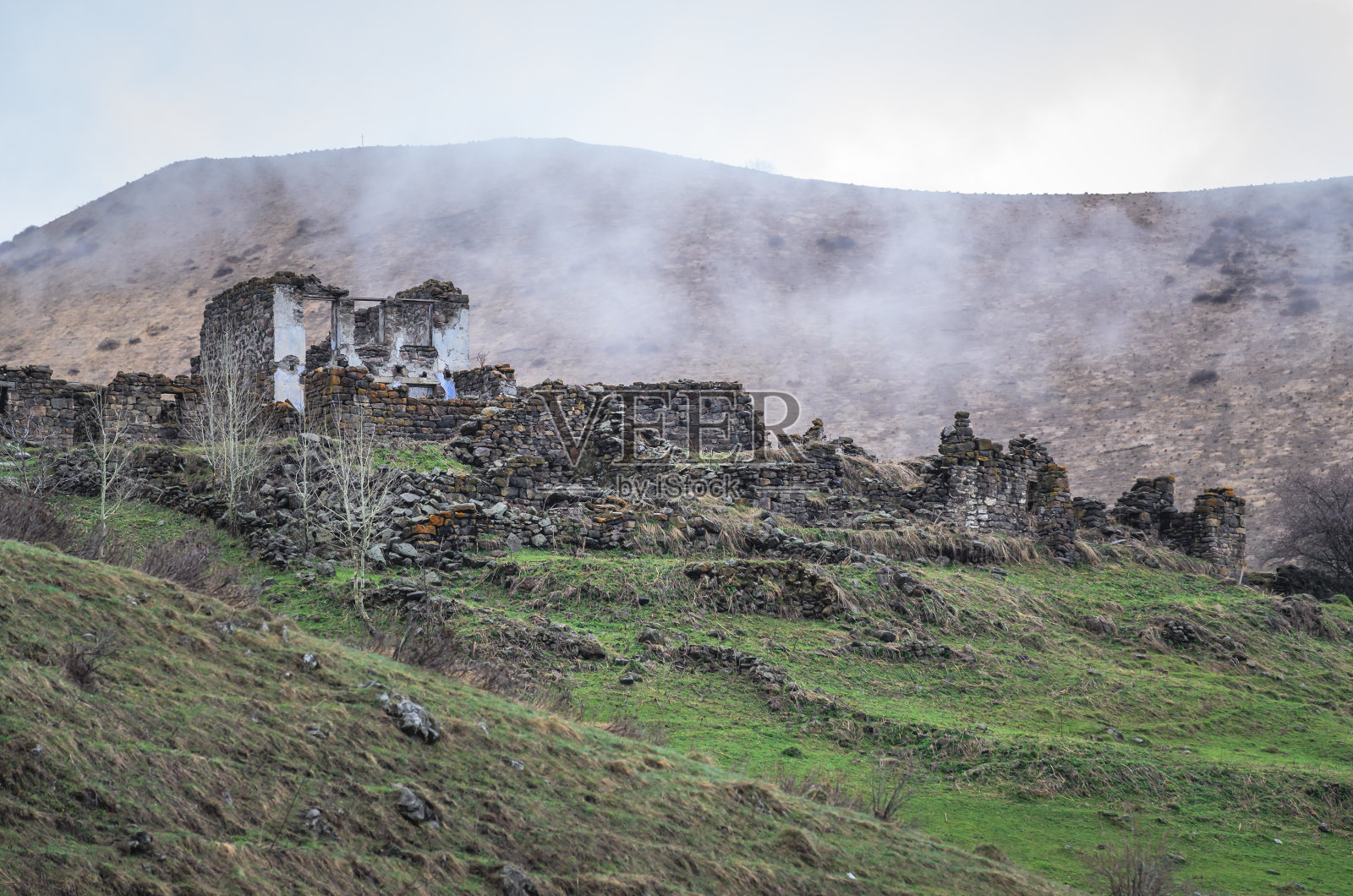 高加索山脉中古老的天鹅塔。在大楼附近放牧奶牛照片摄影图片