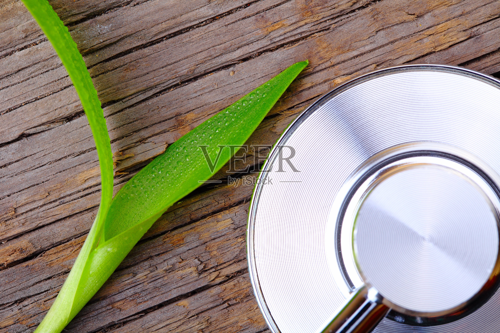 传统生物处理的概念照片摄影图片