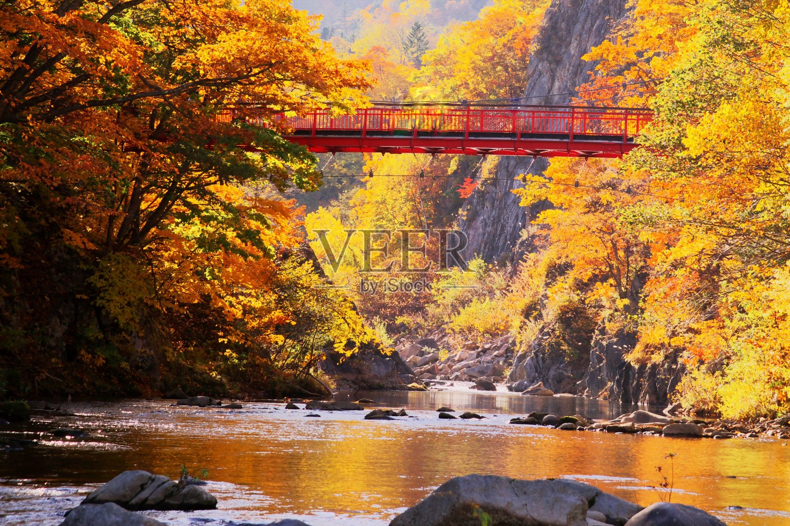 深秋照片摄影图片