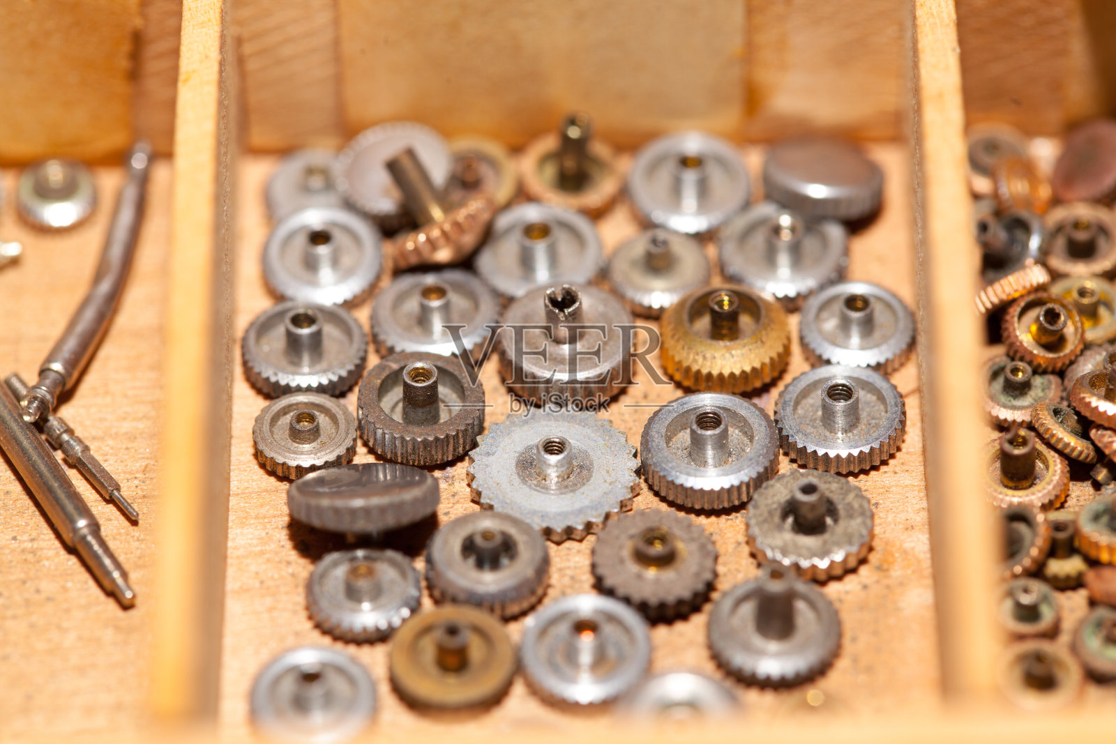 看作品照片摄影图片