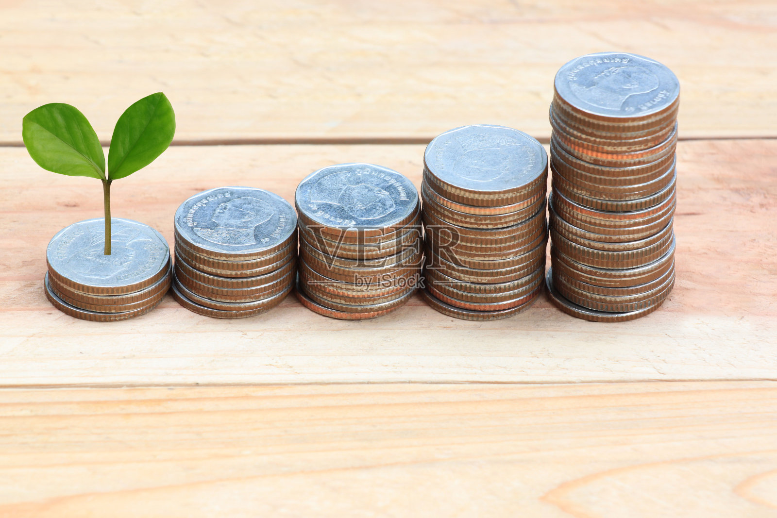 木地板上硬币堆旁的幼苗照片摄影图片