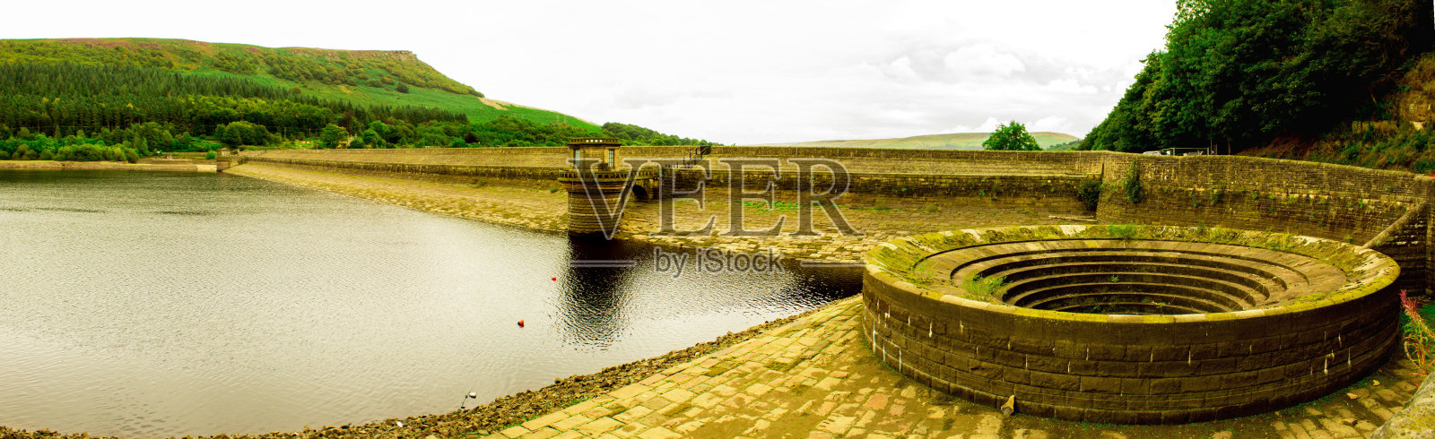 瓢虫-山顶区照片摄影图片