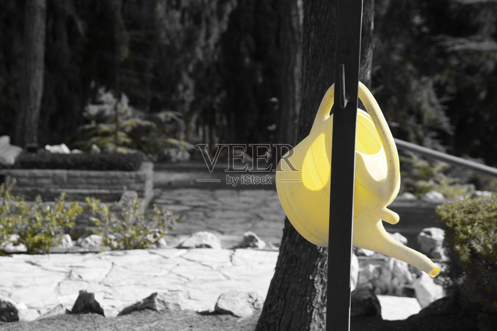 赫茨尔山照片摄影图片