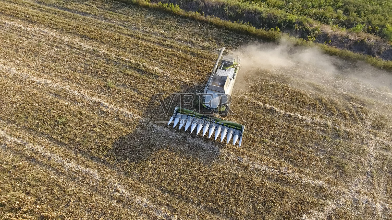 收割机收割玉米。在公司的帮助下收集玉米棒子照片摄影图片