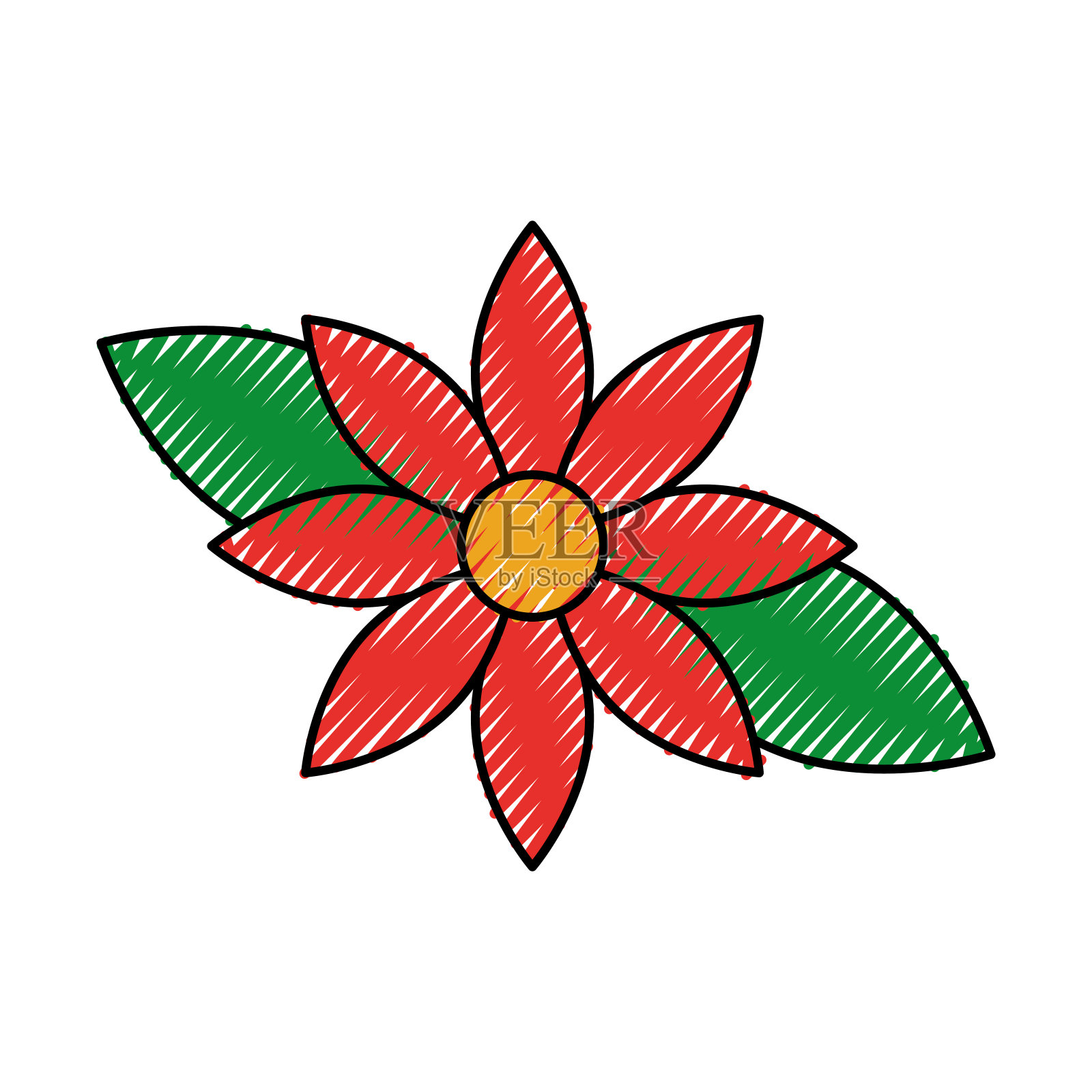 圣诞花一品红装饰庆典插画图片素材