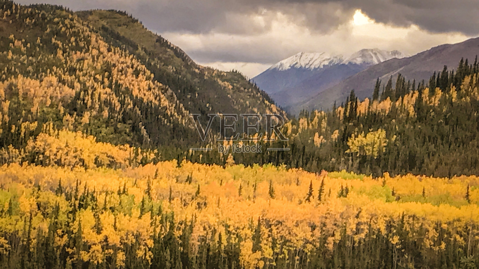 秋天的颜色照片摄影图片