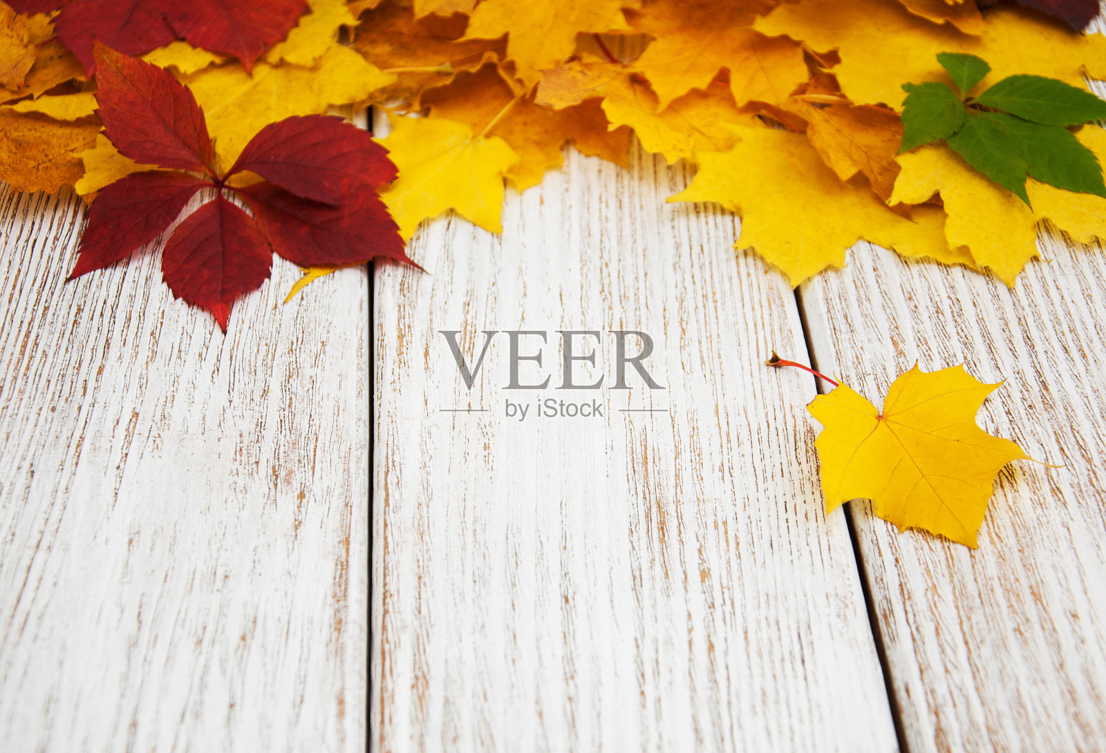 秋天的叶子在木桌上照片摄影图片