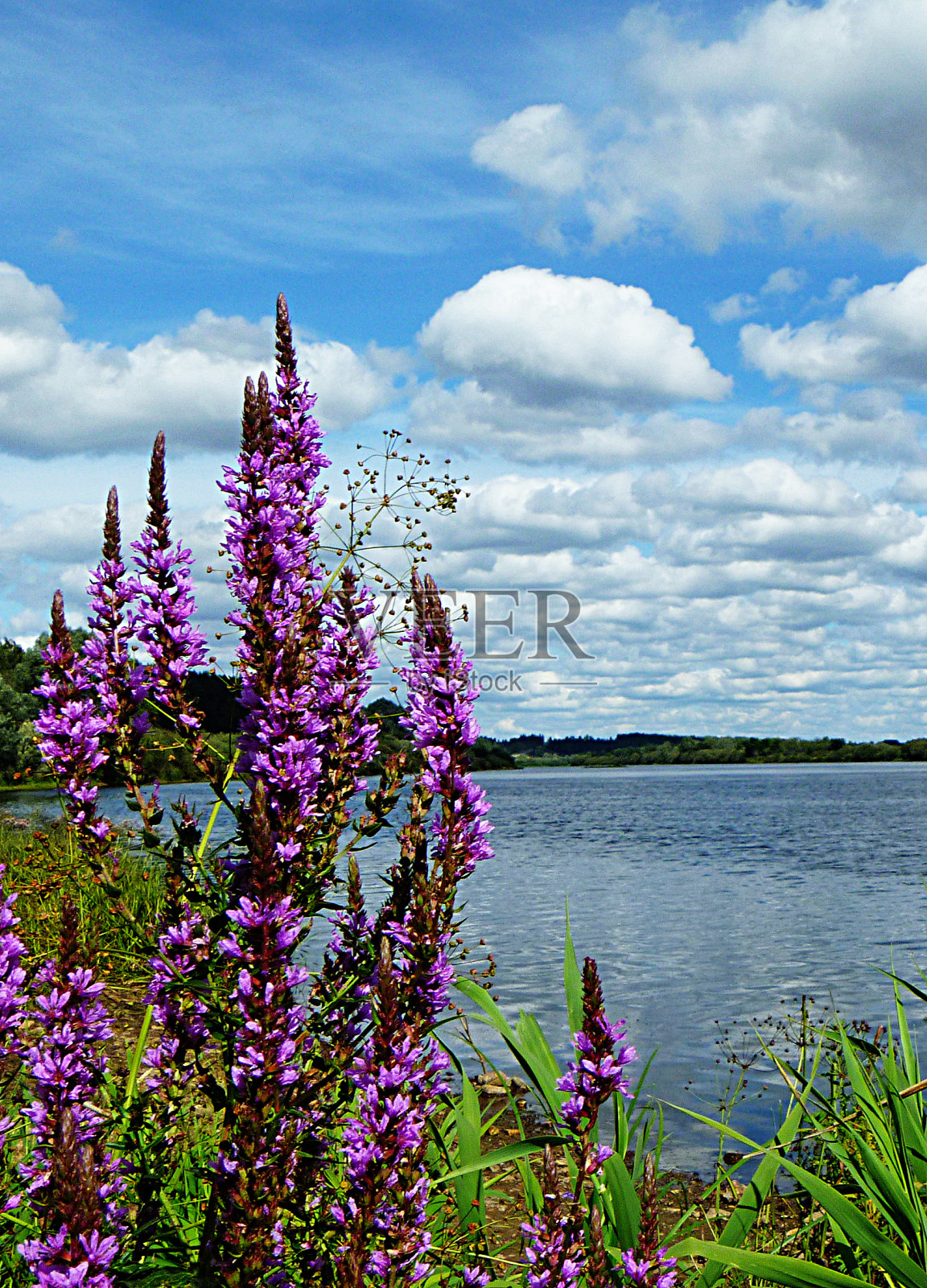 年景观与河流的背景天空照片摄影图片