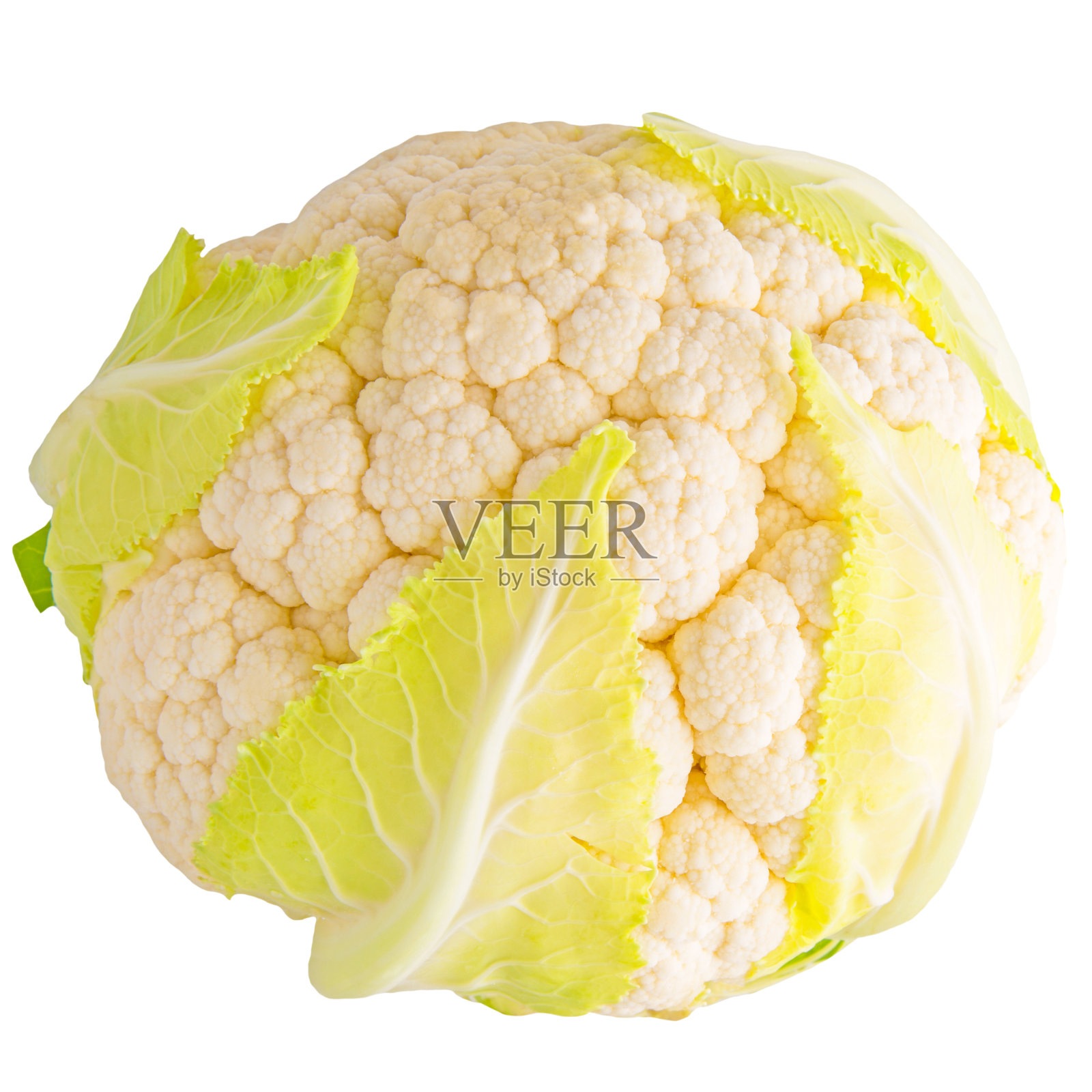 在白色背景上孤立的菜花照片摄影图片