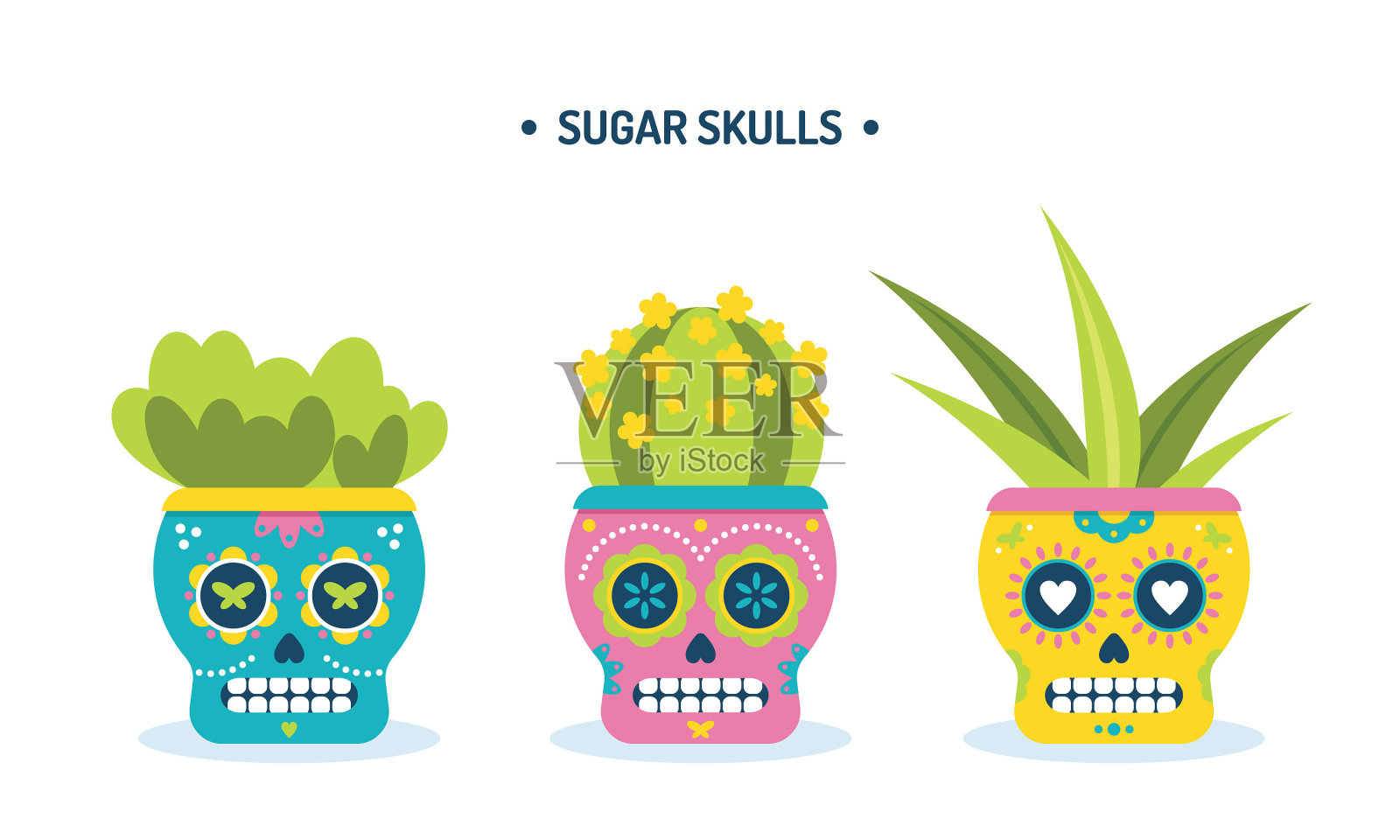 糖骷髅多肉植物花盆矢量图插画图片素材