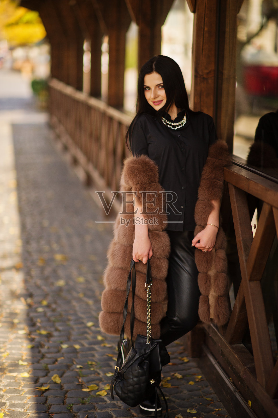 时尚户外照片华丽性感的女人在优雅的衣服和豪华的皮草大衣深色头发。照片摄影图片