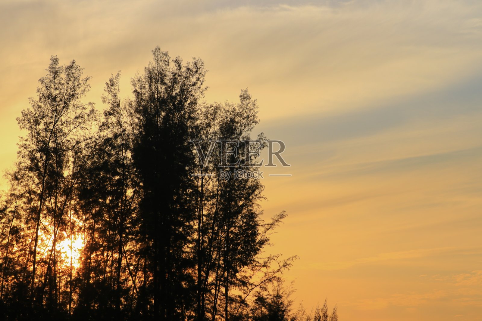 倒影河和影树在水中美丽的日落自然照片摄影图片