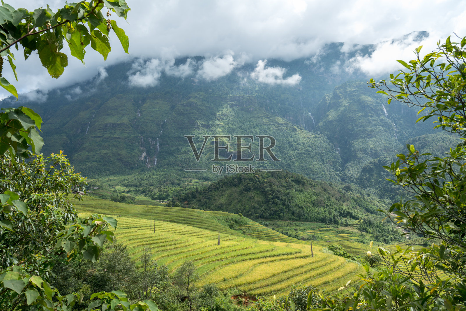 越南北部老街八夏区Y Ty的梯田景观照片摄影图片