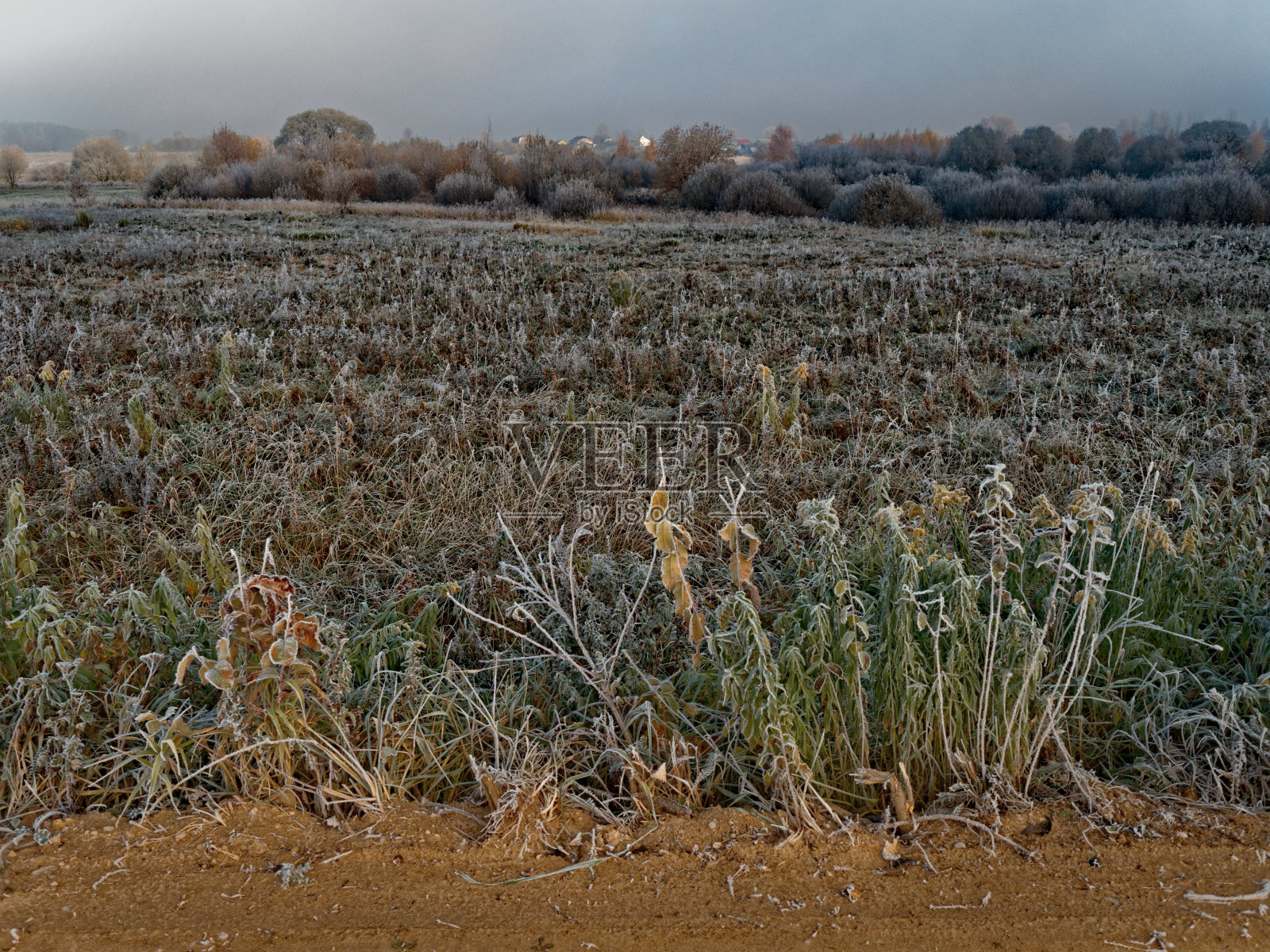 第一个霜。周围的一切都冻结了。照片摄影图片