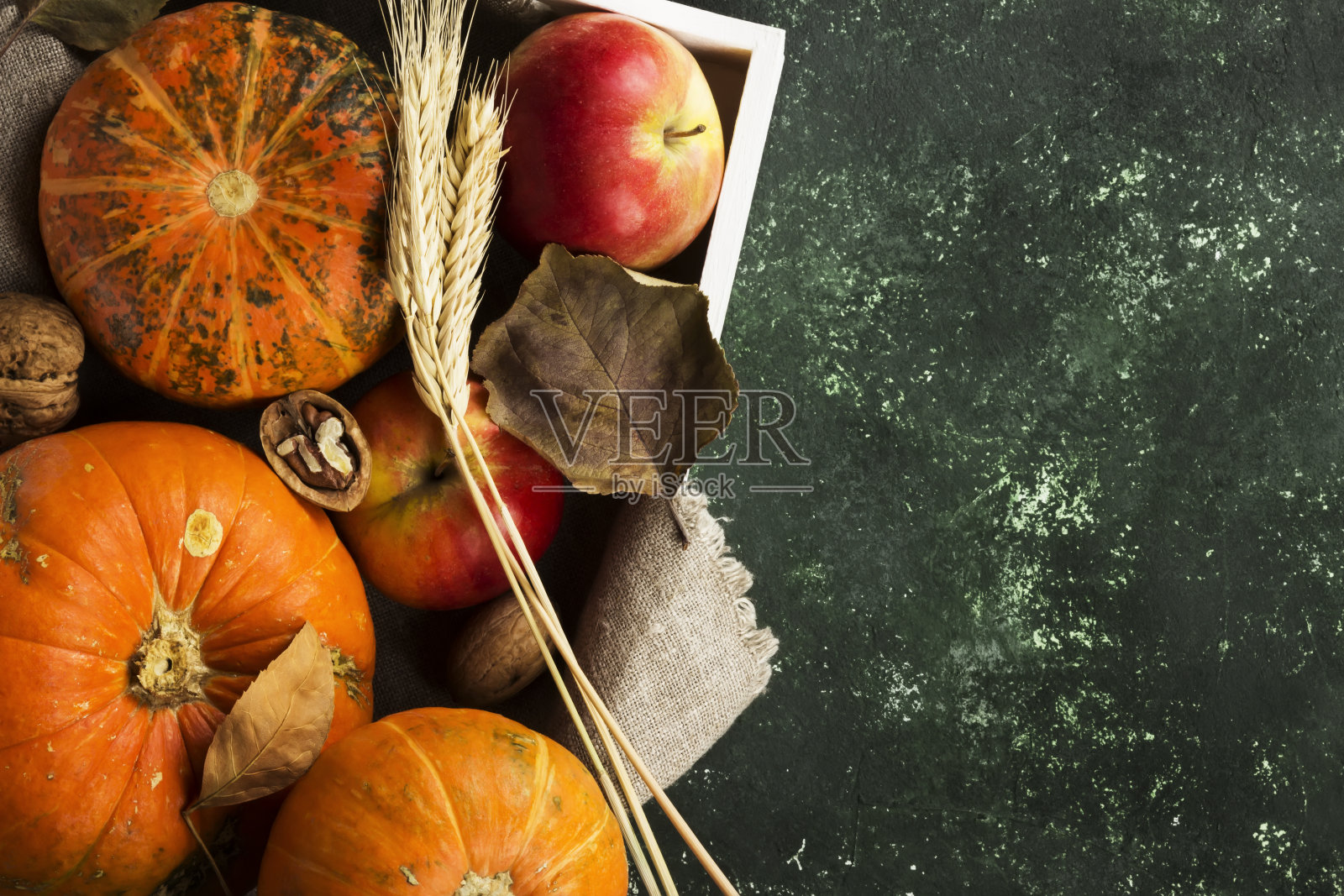 秋收-南瓜，苹果，坚果，小麦在白色木制托盘在一个黑暗的背景。俯视图，复制空间。食品的背景照片摄影图片