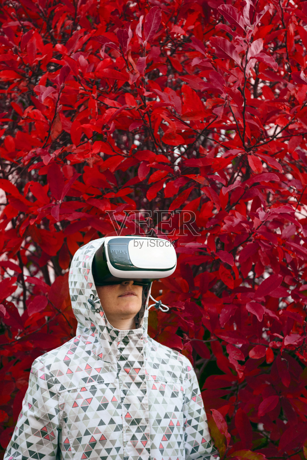 红色虚拟秋天照片摄影图片