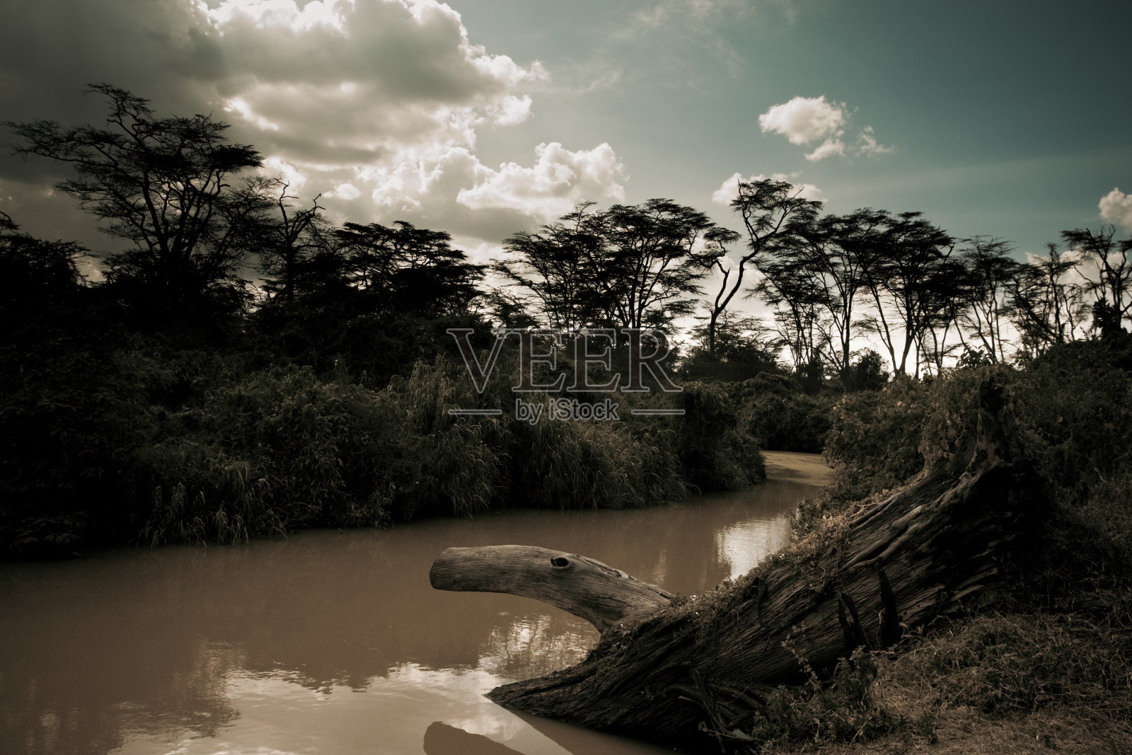 在克利尔沃特地区的大草原内流动的小溪照片摄影图片