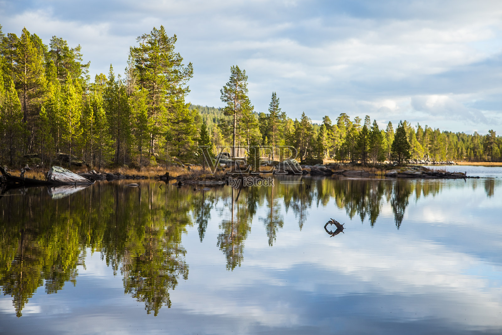 这是挪威费蒙斯马卡国家公园湖岸美丽的秋景。照片摄影图片
