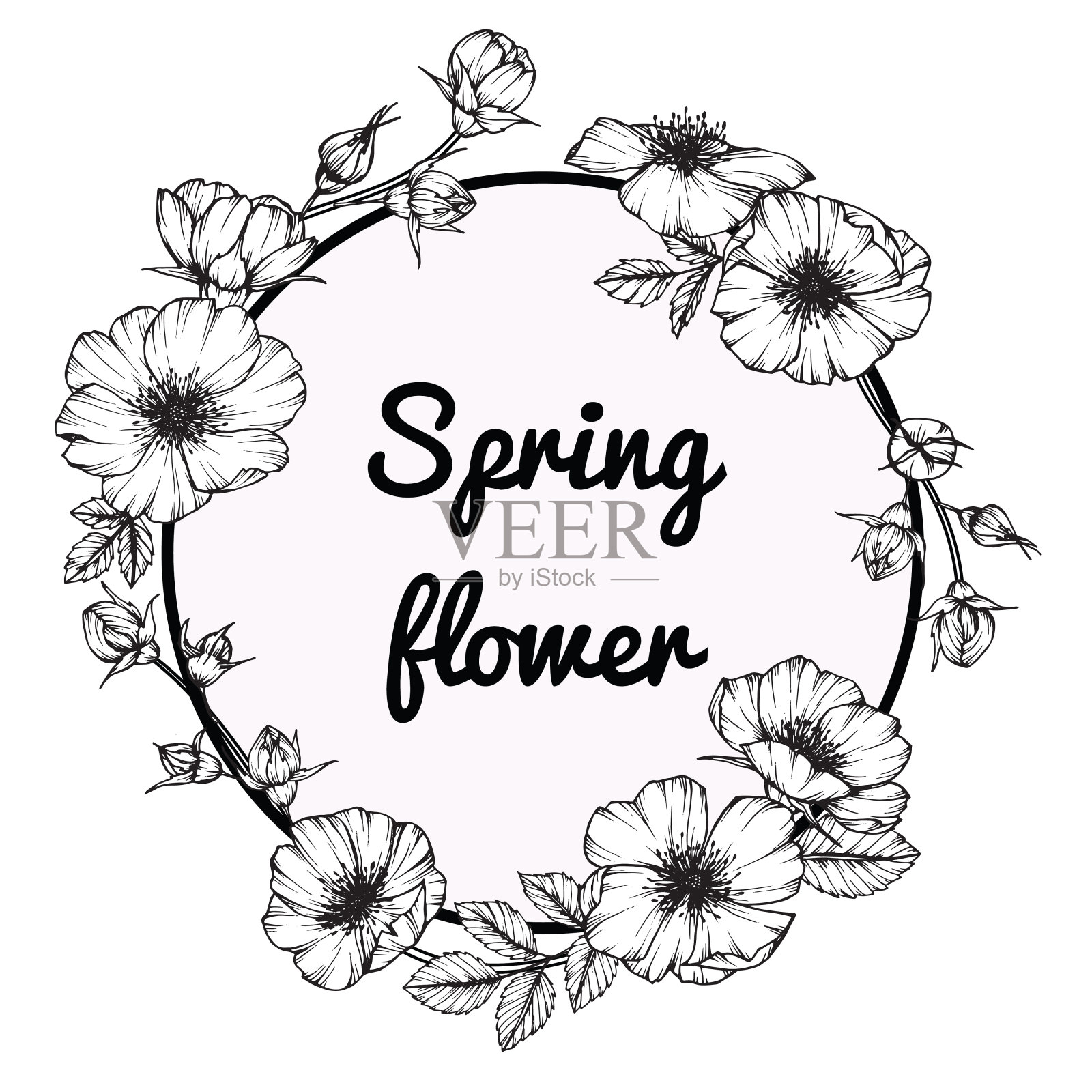 玫瑰花架花。用黑白线条画素描。插画图片素材