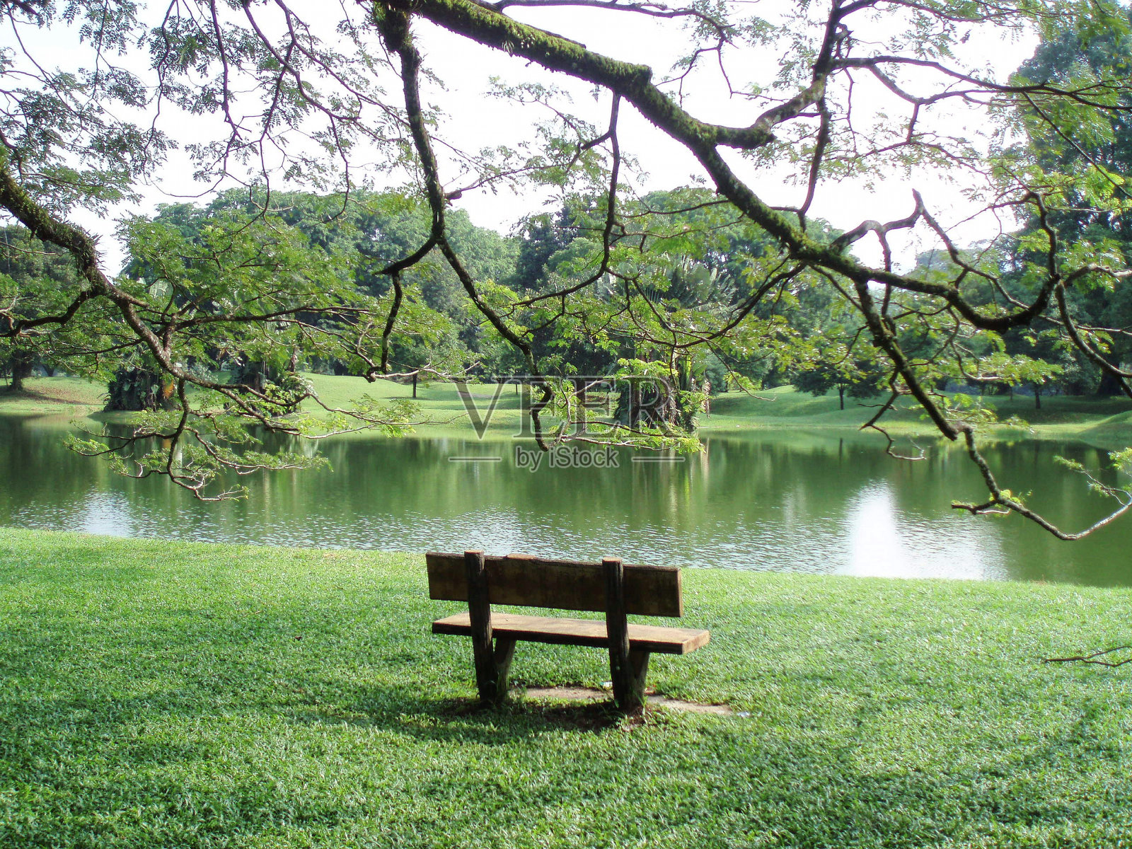 湖边的长椅照片摄影图片