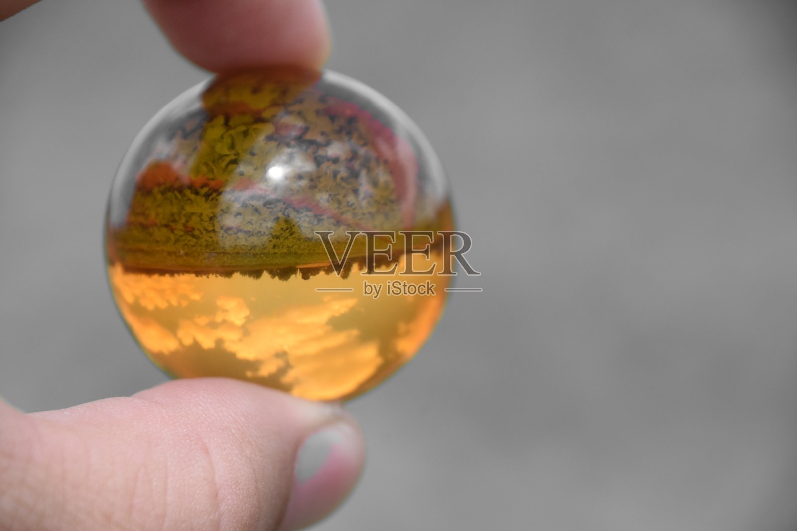 通过水晶球种植生菜照片摄影图片