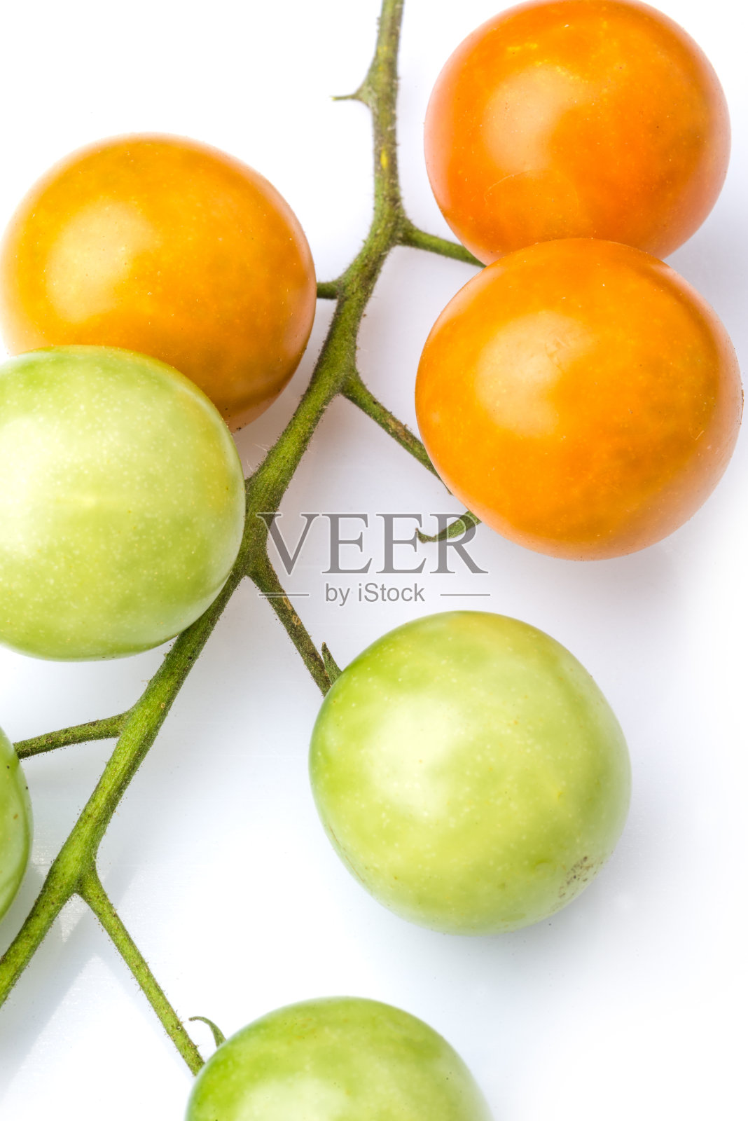 在白色背景上孤立的未成熟的番茄穗的接近照片摄影图片