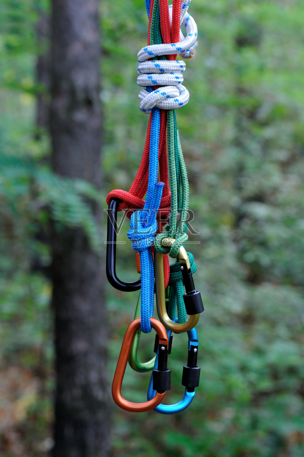 竖钩爬特写。照片摄影图片